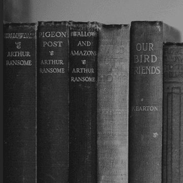 Black and white books on a shelf